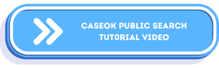 CaseOK Public Search Video